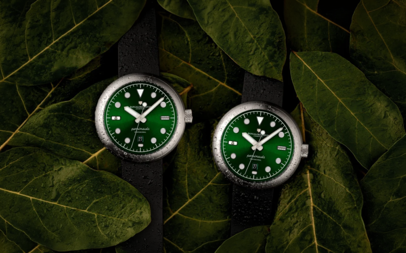Bangalore watch company